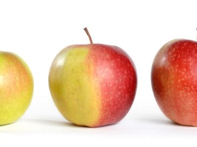 Three apples transforming from green to red